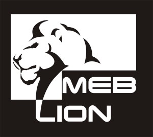 logo_meblion_JPG