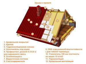 krovlya1